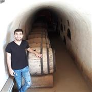 Dicto clases de matemáticas para todos los niveles